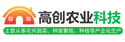 西安泰富西瑪電機logo